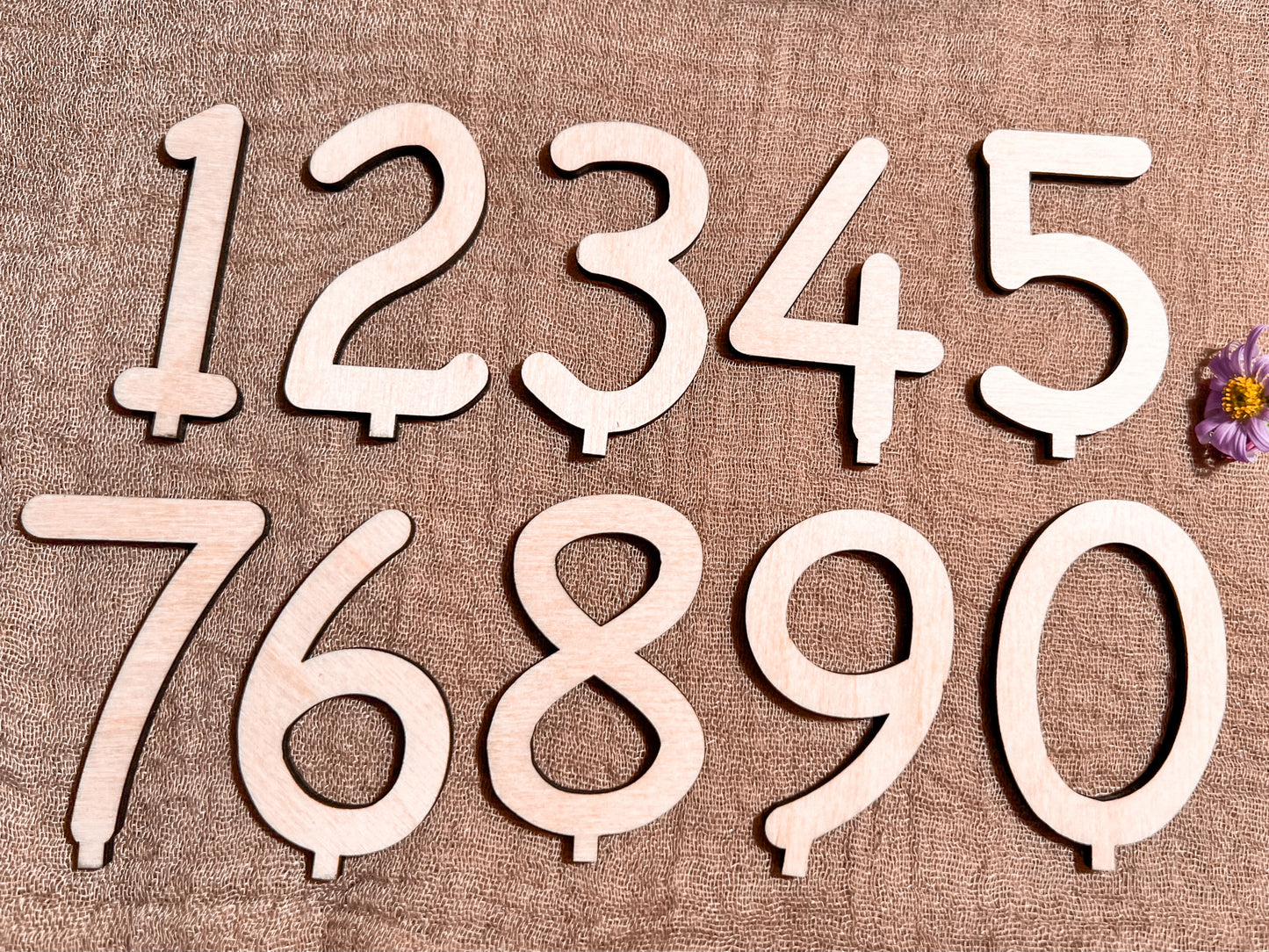 Geburtstagsteller Einhorn