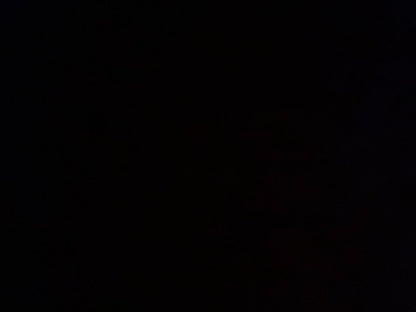 Erinnerungsbox - Wal